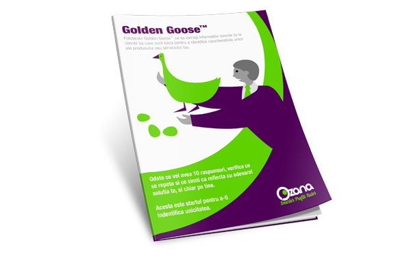 small-shop-img-golden-goose-ro.png